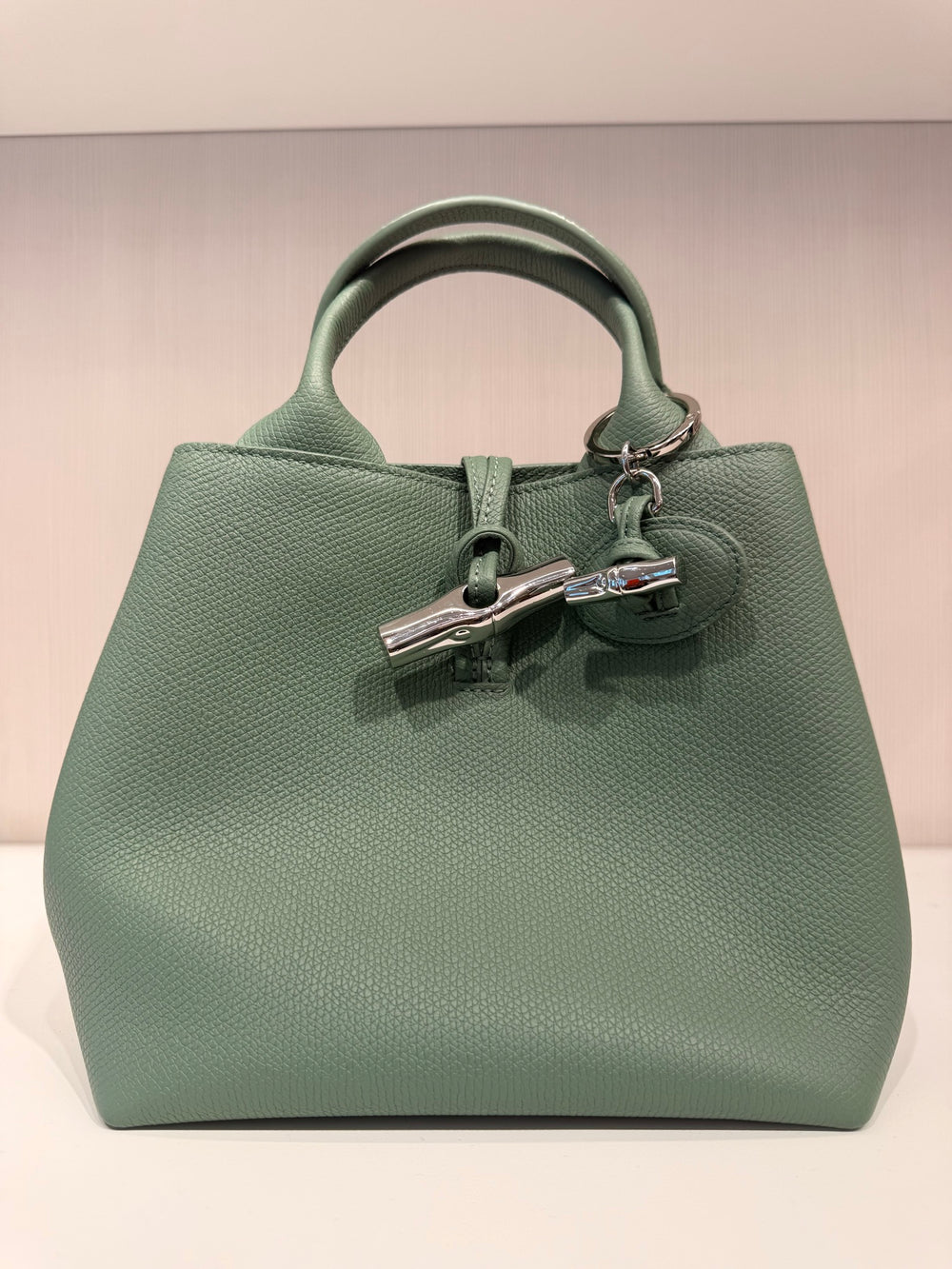 Longchamp — Le Roseau, Green